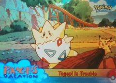 Togepi in Trouble card image