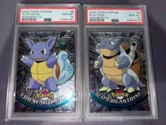 Wartortle card image
