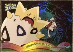 Where Could It Lead card image