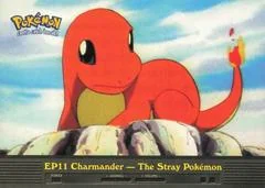 Charmander-the Stray Pokemon card image