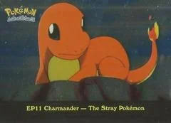 Charmander-the Stray Pokemon card image