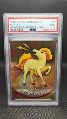 Ponyta card image