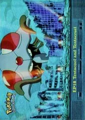 Tentacool and Tentacruel card image