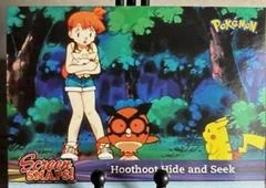 Hoothoot Hide and Seek card image