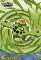 Cacnea card image