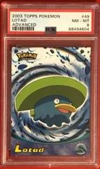 Lotad card image