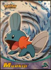 Mudkip card image