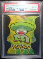 Lombre card image
