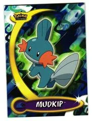 Mudkip card image