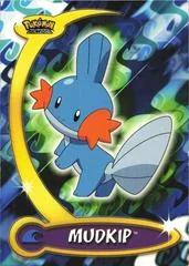 Mudkip card image