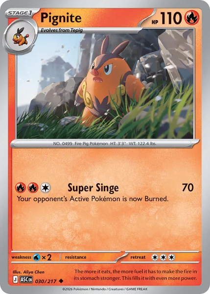 Pignite card image