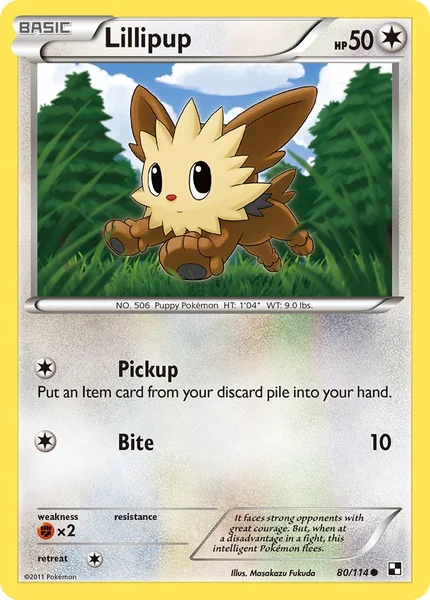 Lillipup card image