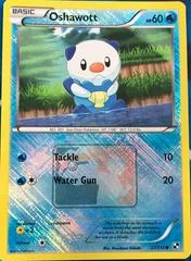 Oshawott card image