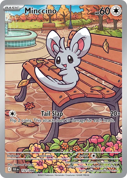 Minccino card image