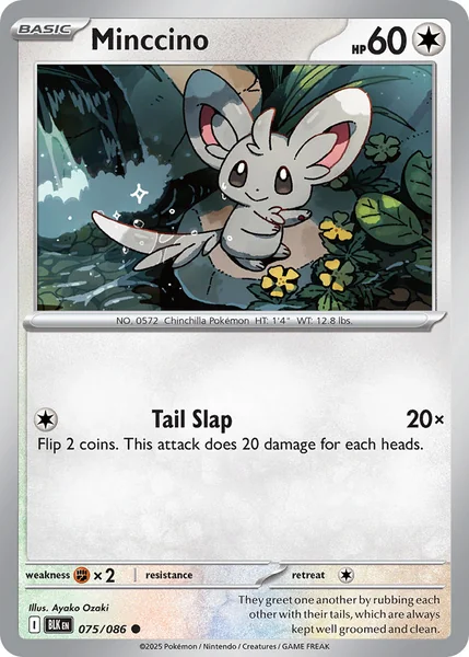 Minccino card image