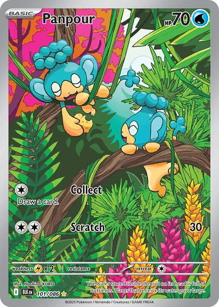Panpour card image