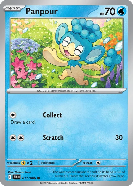 Panpour card image
