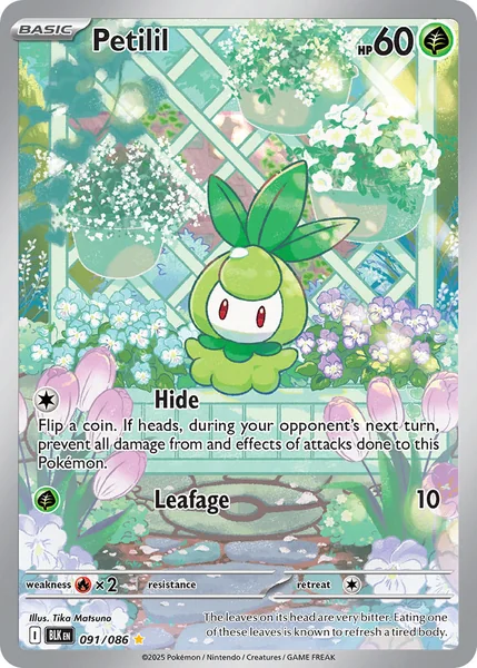 Petilil card image
