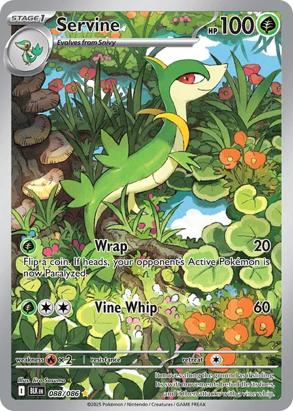 Servine card image