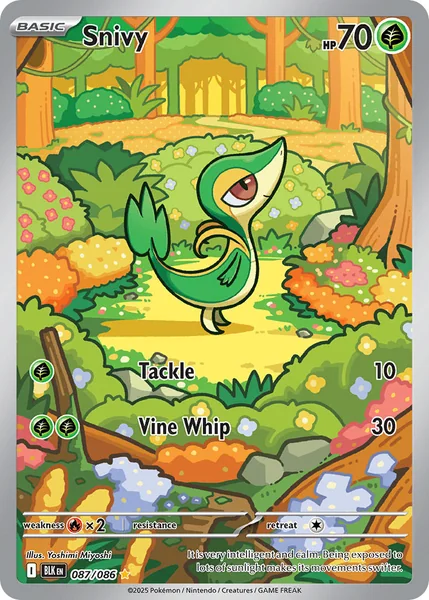 Snivy card image