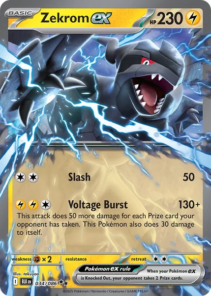 Zekrom ex card image