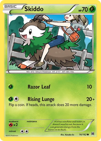Skiddo card image