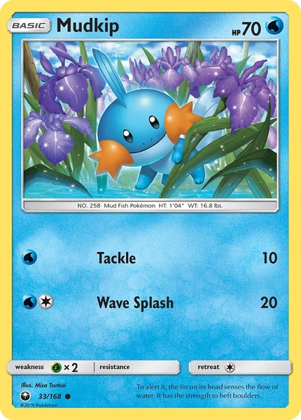 Mudkip card image
