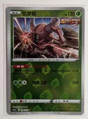 Pinsir card image