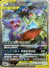 Mega Sableye & Tyranitar GX card image