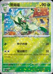 Floragato card image