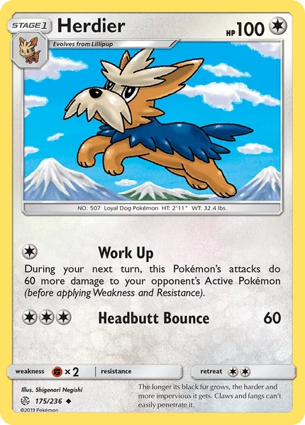 Herdier card image