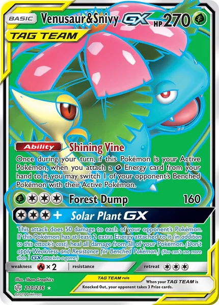Venusaur & Snivy GX card image