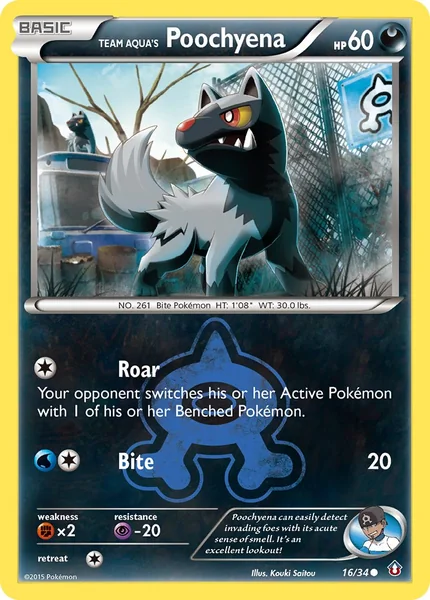 Team Aqua's Poochyena card image