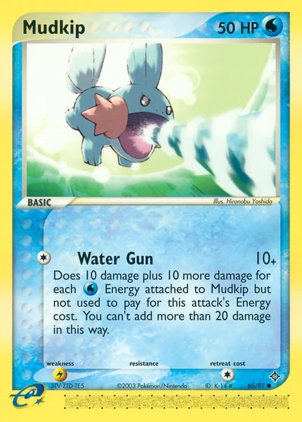 Mudkip card image