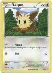 Lillipup card image