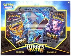 Hidden Fates Collection card image