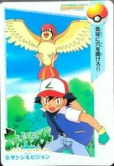 Ash & Pidgeotto card image