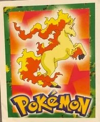 Rapidash card image