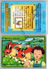 Ledyba, Verity card image