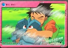 Pineco & Brock card image
