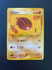Swinub card image