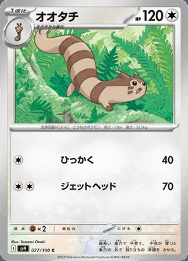 Furret card image