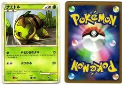 Turtwig card image