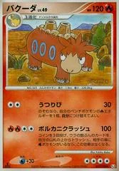 Camerupt card image