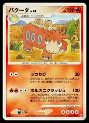 Camerupt card image
