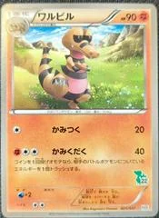 Krokorok card image