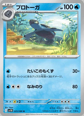 Tirtouga card image