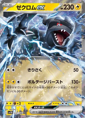 Zekrom ex card image