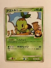 Turtwig card image