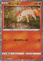 Ponyta card image